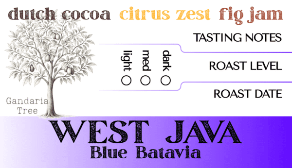 West Java Blue Batavia - Image 2