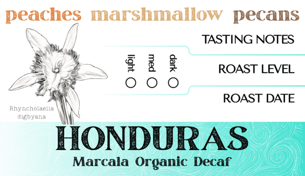 Honduras Marcala Organic Decaf - Image 2