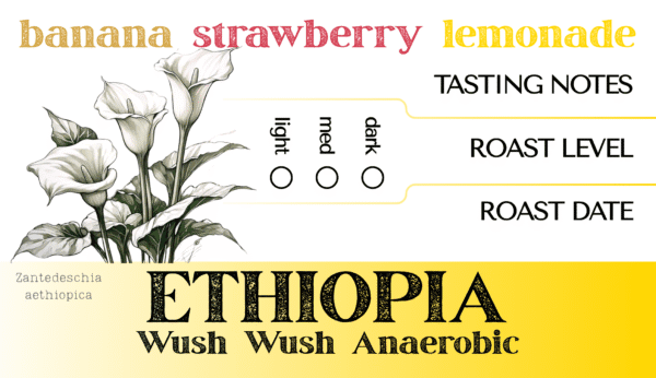 Ethiopia Wush Wush Anaerobic - Image 2