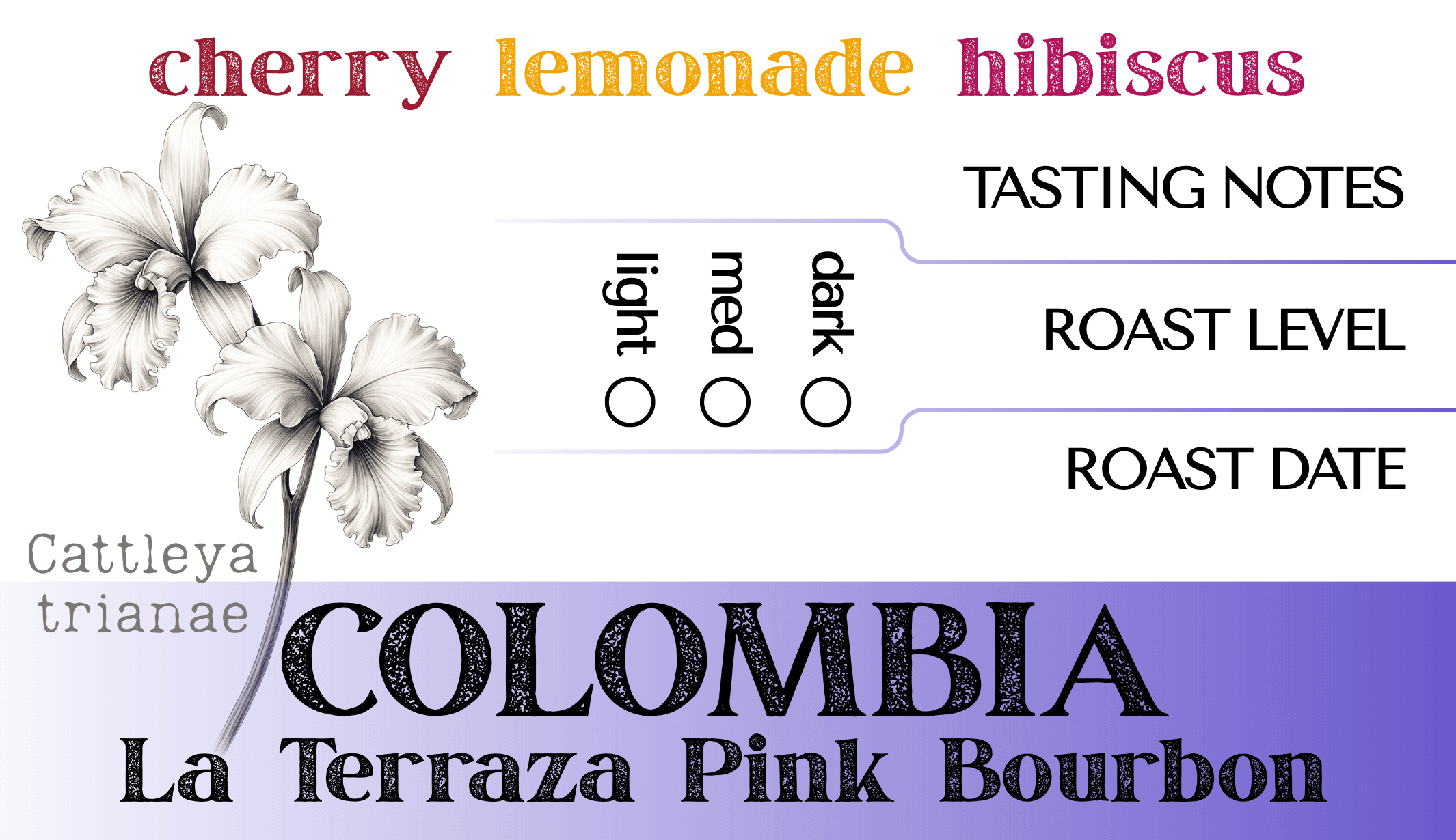 Colombia La Terraza Pink Bourbon - Image 2
