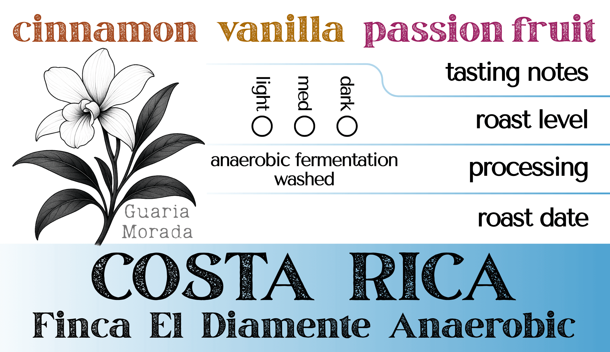 Costa Rica Finca El Diamente Anaerobic - Image 2