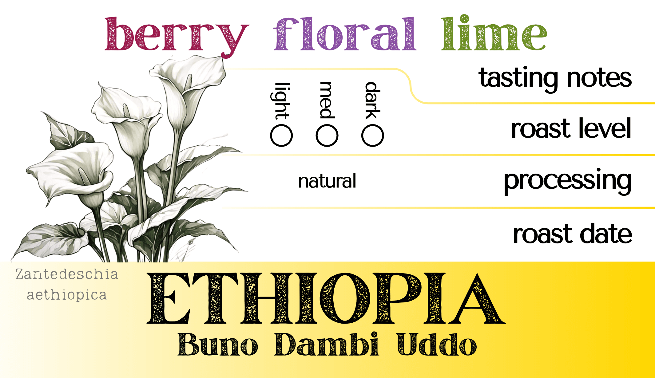 Ethiopia Buno Dambi Uddo - Image 2